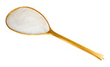 Mid-Length Fishing Landing Net #1944